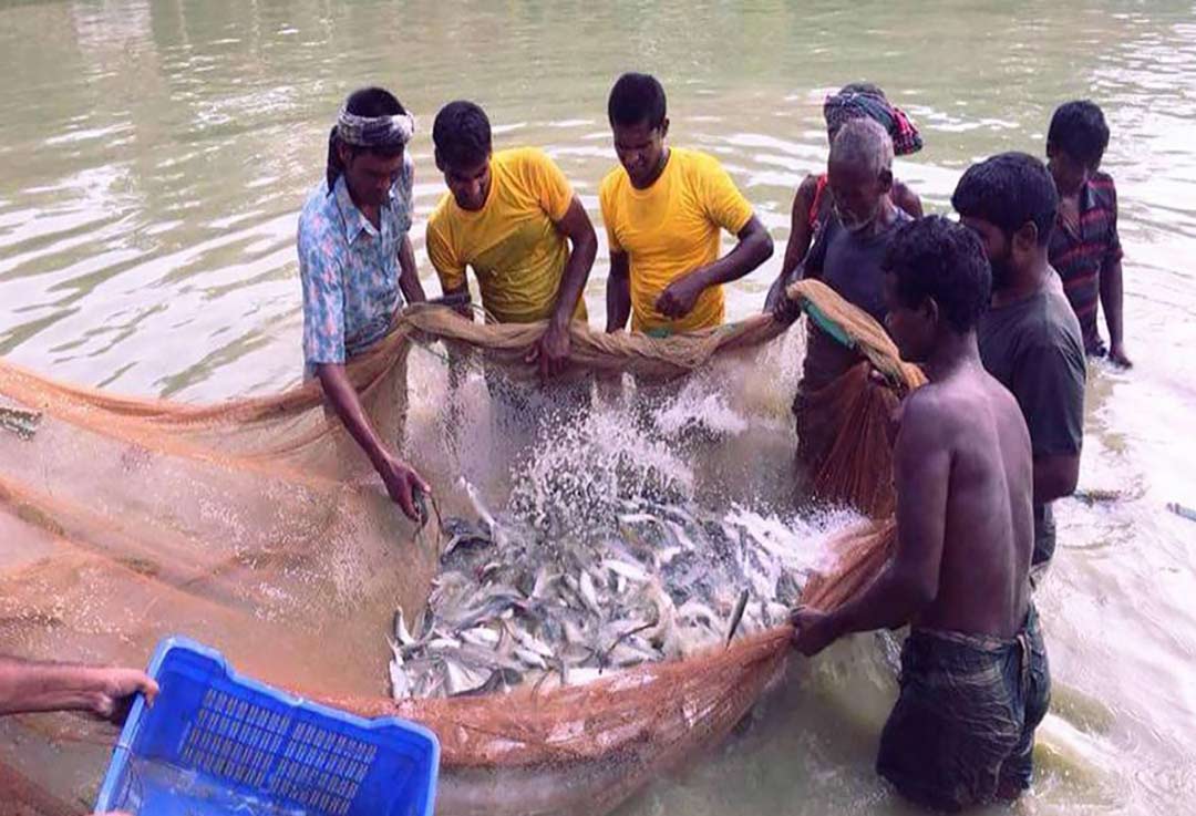 Active-Agro-&-Fisheries--Agro-&-Fisheries